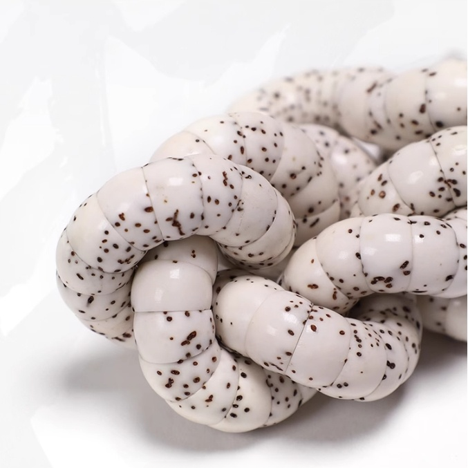 Sacred Gutline® Tibetan Bodhi Seed Beads – 5mm Thick Round Style